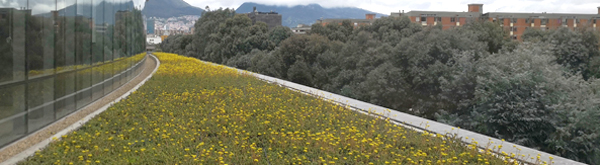 Cubiertas Verdes